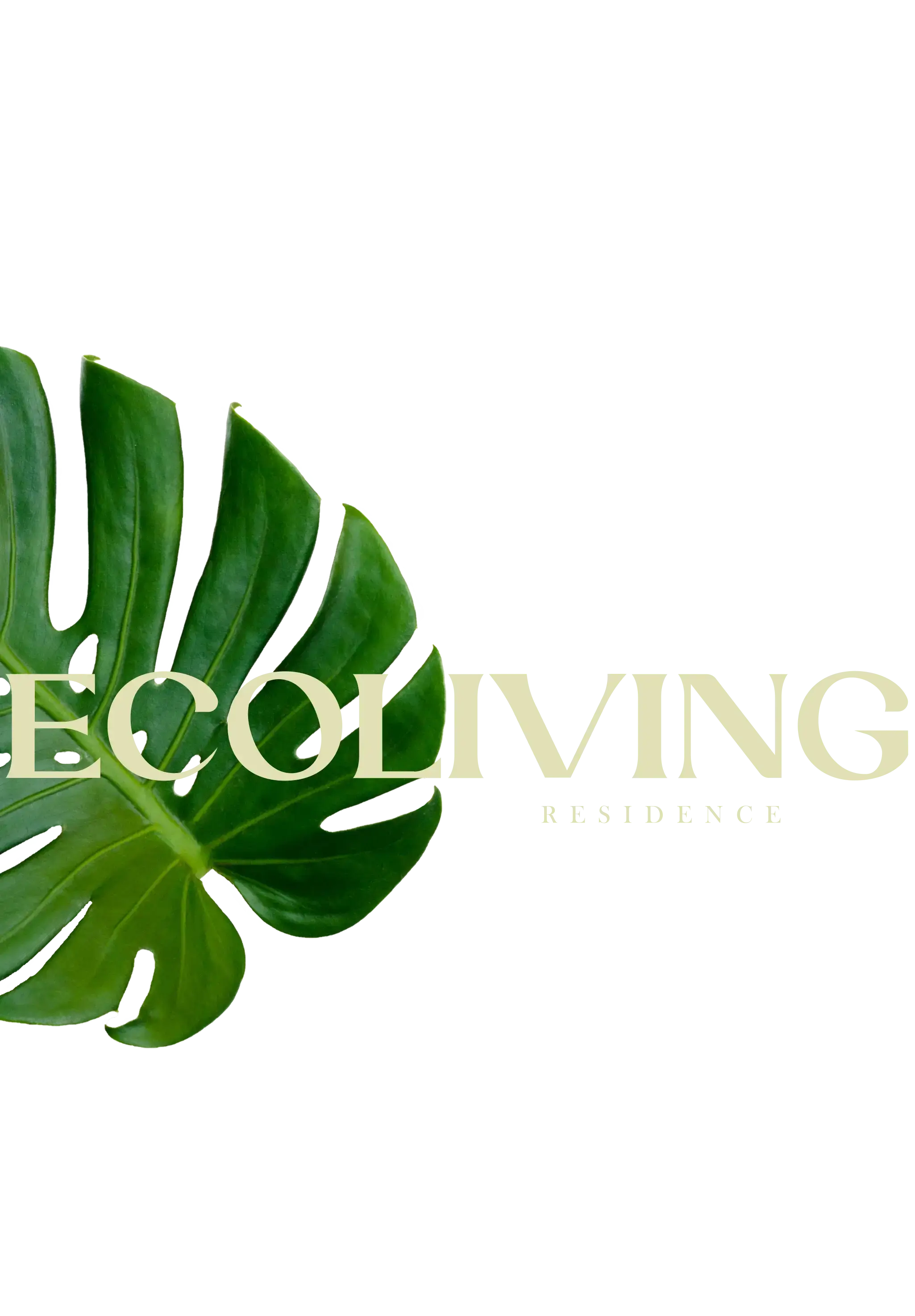 Grafismo com a logo de Ecoliving Residence